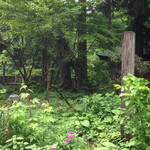 宝巌堂 - 新緑が素敵