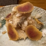 よいまち 朔真 - ブリカツと染めおろし　〜カラスミで〜