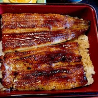満寿家 - 上うなぎ  満寿家 - 上うなぎ