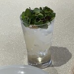 シロ カフェ - 自家製梅ハーブソーダ