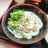 手打十段 うどんバカ一代