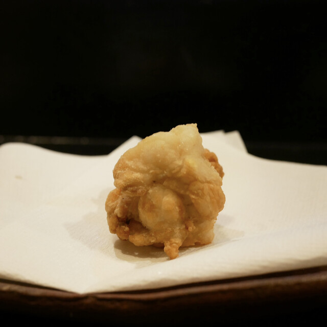 Yamaneko Ken photo 5