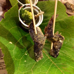 海の別邸ふる川 - 山女魚の新緑焼き！