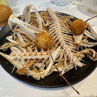 macua - 