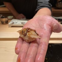 黒杉 - 