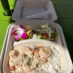 CAMARON SHRIMP WAGON - 