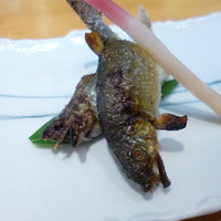 近江懐石 清元 - 焼物