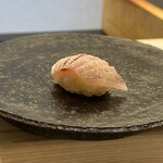 鮨 なんば - カスゴダイ