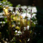 北京飯店 - それでも気分は悪くない