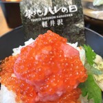 Tsukiji Hare no Hi Karuizawa Ten - 