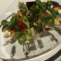 レフェルヴェソンス - 