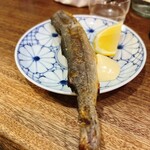 朝めし酒場 ナニコレ食堂 - 