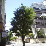 そらのいろ麹町本舗 - 女性でも安心して入れる感覚の店構えなので、実に入り易い雰囲気。