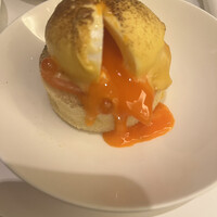 スプレンディード - 