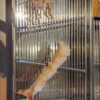 てんぷら 山の上 Roppongi 東京ミッドタウン店 - 