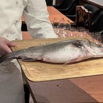 オステルリー・スズキ - スズキ