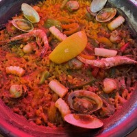 表参道 バッカス - 