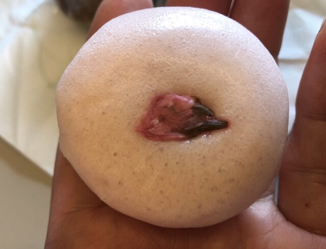 はせ川屋菓子店 - 会津柳津（和菓子）の写真