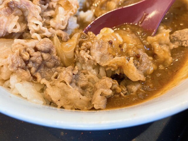 Yoshinoya Niyonhachigosen Okazakiminamiten photo 3