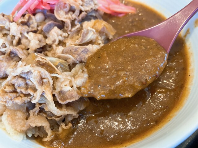 Yoshinoya Niyonhachigosen Okazakiminamiten photo 2