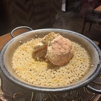Potoro - 