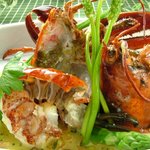 ガルソンヌ - ある日のオマール海老料理画像