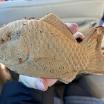 鯛春 - 料理写真: