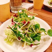 カンティネッタバズ - 主張する豆苗氏！