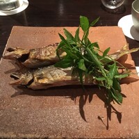 たでの葉 - 