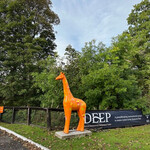 The Glenmorangie Distillery - 