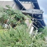 カフェ ヒヨリ - 