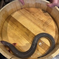 炭焼鰻 寝床 福島店 - 