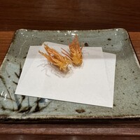 天冨良 よこ田 - 