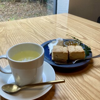 ポールスター_1