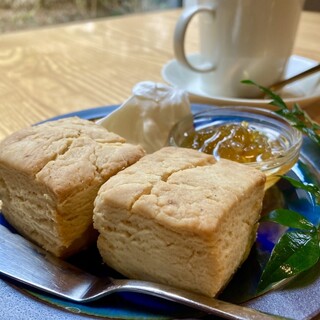 ポールスター_0