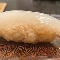 鮨まつもと - イカ