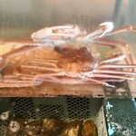 光る海 - ズワイ蟹