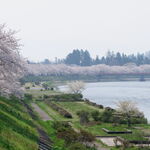 そばきり長助 - 4月下旬