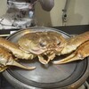 かに・ふぐ専門 蟹吉WEST なんば道頓堀