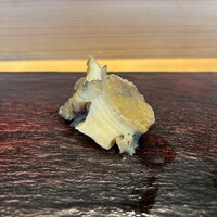 SUSHI TOKYO TEN、 横浜店 - 