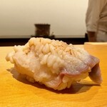 鮨 はしもと - 2025.1.  北寄貝