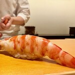 鮨 はしもと - 2025.1.  車海老