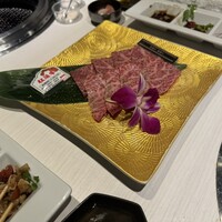 黒毛和牛焼肉きっしゃん 北新地店 - 