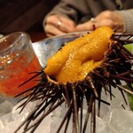 福島 牡蠣と肉たらし ビストロKAI - 