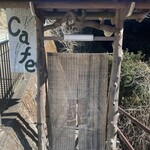 薬膳茶ソイビーンフラワー atきらら - 