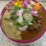 すぱいすにきいてみた@plants - 