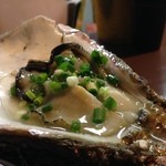 かんちゃん - 岩牡蠣