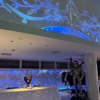 DANZERO - 
