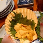 コンペイトウ - 