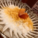 コンペイトウ - 